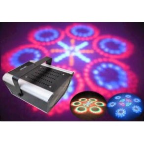 7 Heads Moonflower - B-Vare