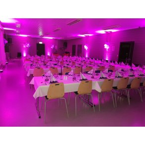 Slim Par LED 70 W (UTLEIE)